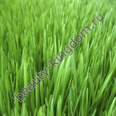 Отдушка Англия Свежескошенная трава
