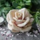 Форма силиконовая Роза чайная 3D