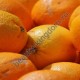 Отдушка Франция Апельсин